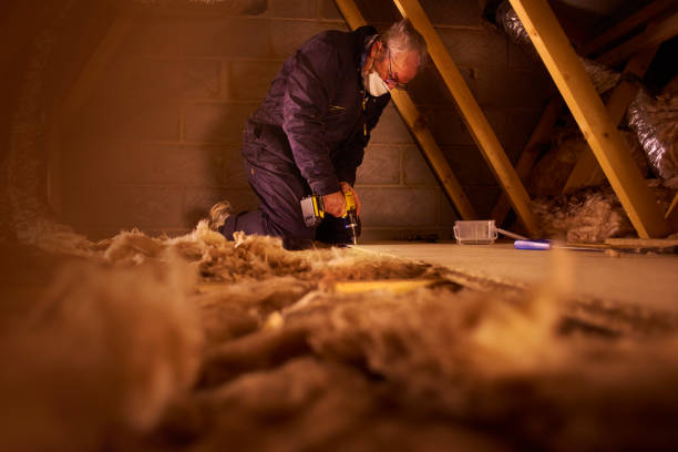 Best Insulation Maintenance and Repair in Green Level, NC